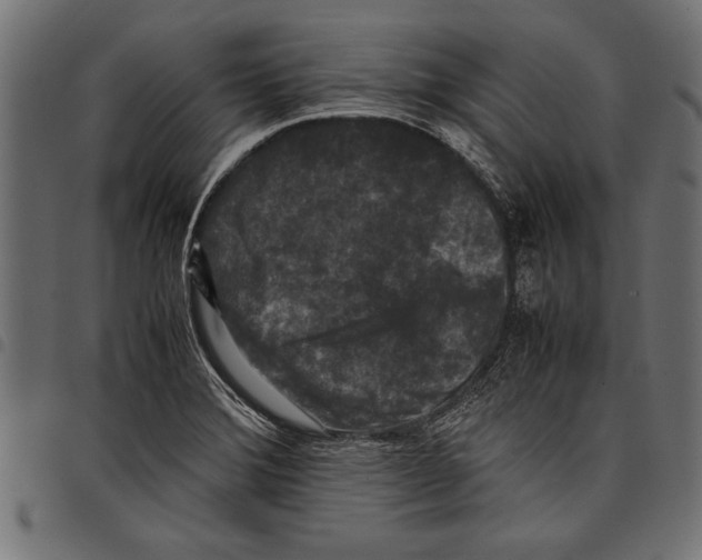 X0000097661372200803280941