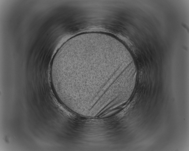 X0000097661374200803280941