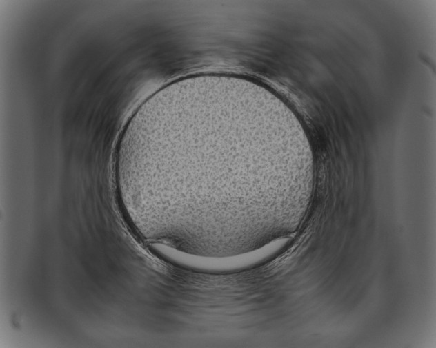 X0000097661375200803280941