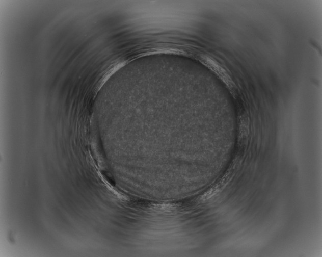 X0000097661377200803280941