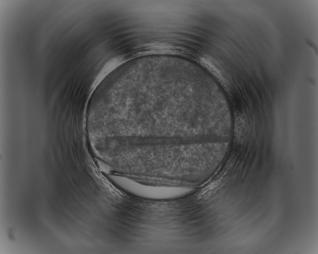 X0000097661378200803280941