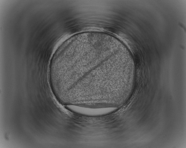 X0000097661379200803280941