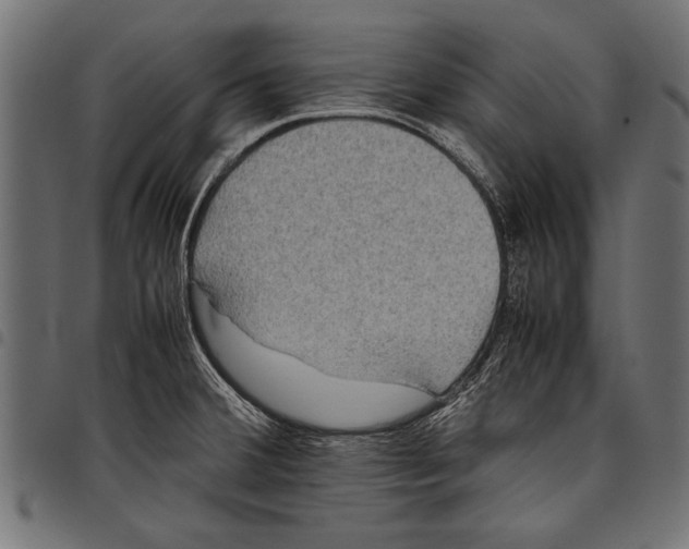 X0000097661380200803280941