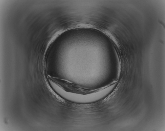 X0000097661381200803280941