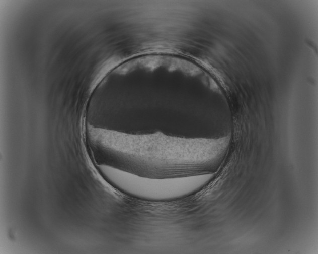X0000097661383200803280941
