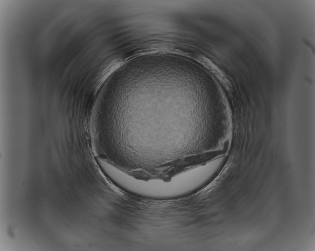 X0000097661385200803280941