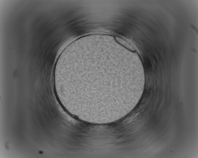 X0000097661387200803280941