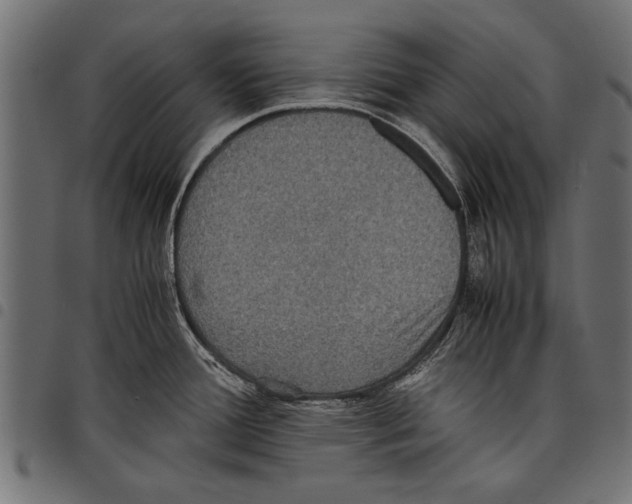 X0000097661388200803280941