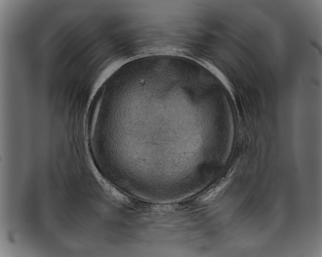 X0000097661389200803280941
