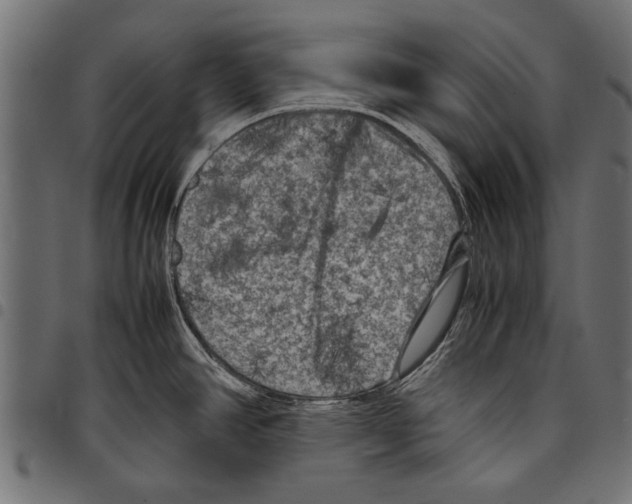 X0000097661390200803280941