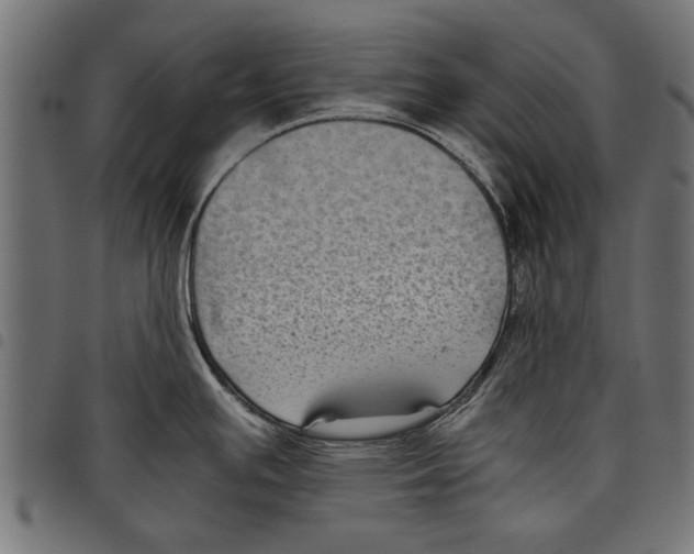 X0000097661391200803280941