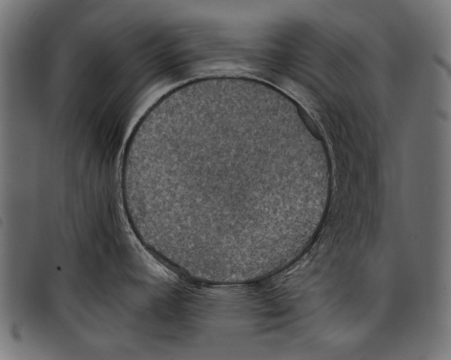 X0000097661392200803280941