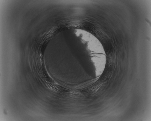 X0000097661394200803280941