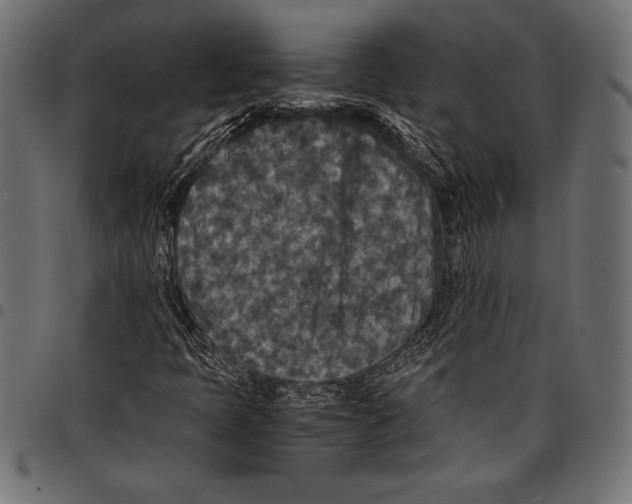 X0000097661397200803280941