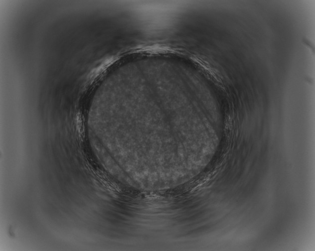 X0000097661398200803280941