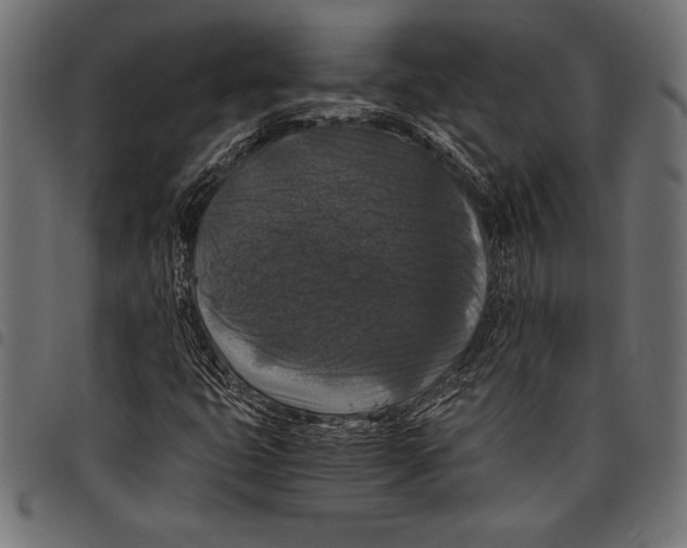 X0000097661399200803280941