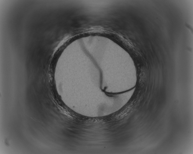 X0000097661400200803280941