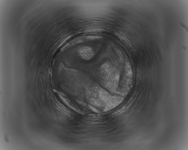 X0000097661401200803280941