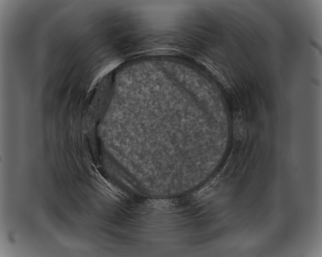 X0000097661402200803280941