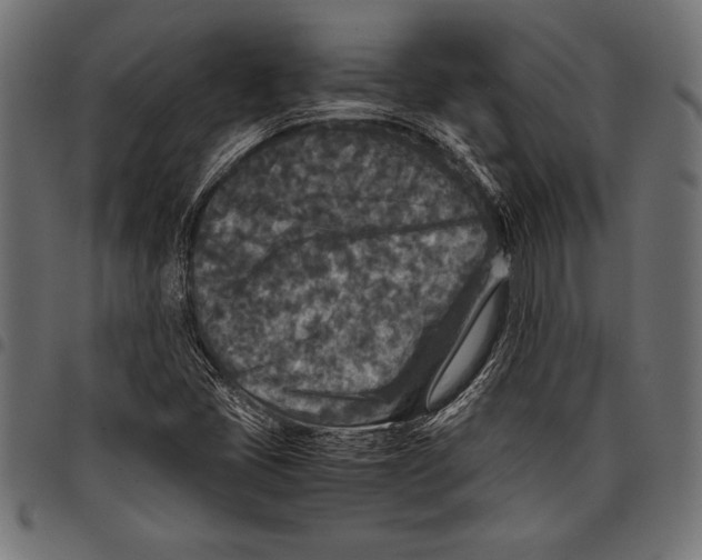 X0000097661405200803280941