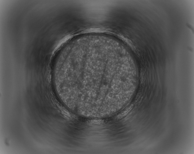 X0000097661406200803280941