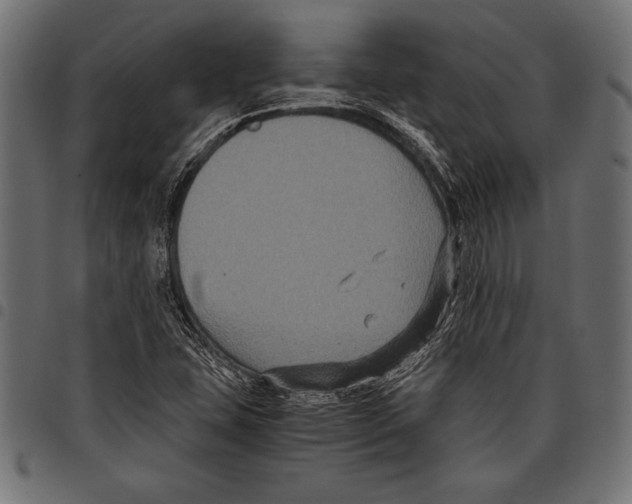 X0000097661407200803280941