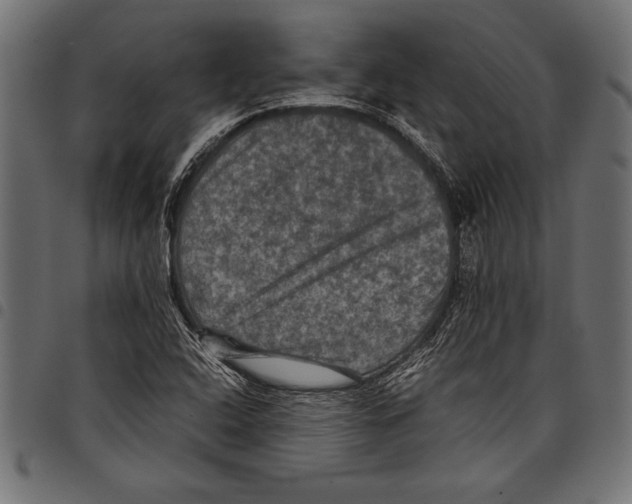 X0000097661408200803280941