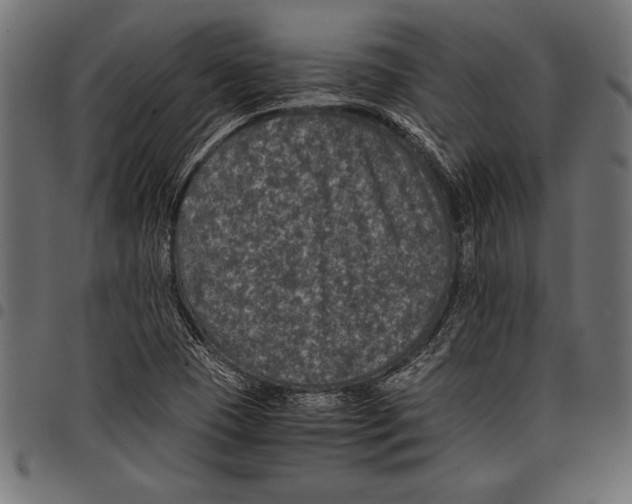 X0000097661409200803280941