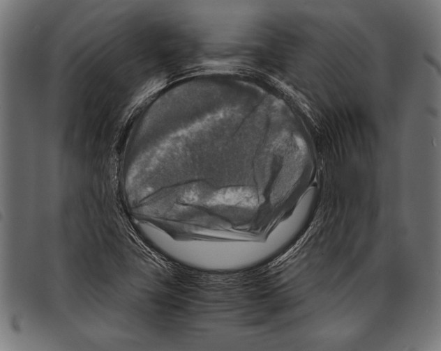 X0000097661411200803280941