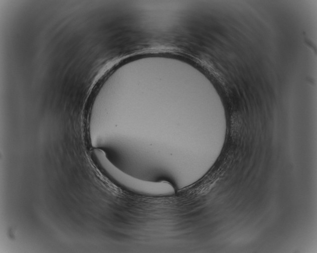 X0000097661412200803280941