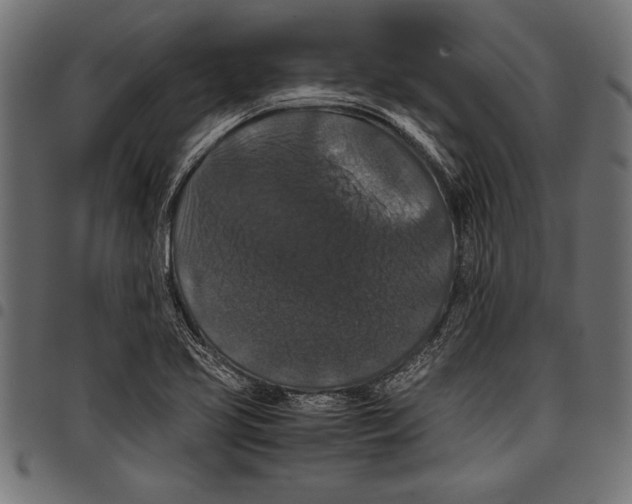 X0000097661413200803280941