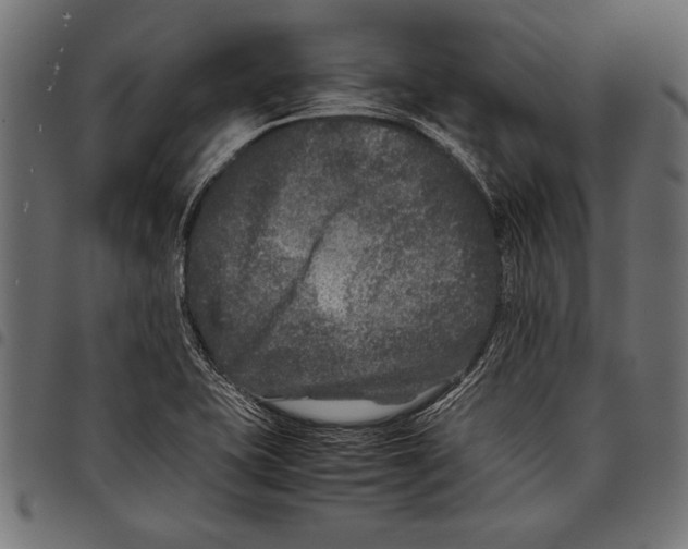 X0000097661415200803280941