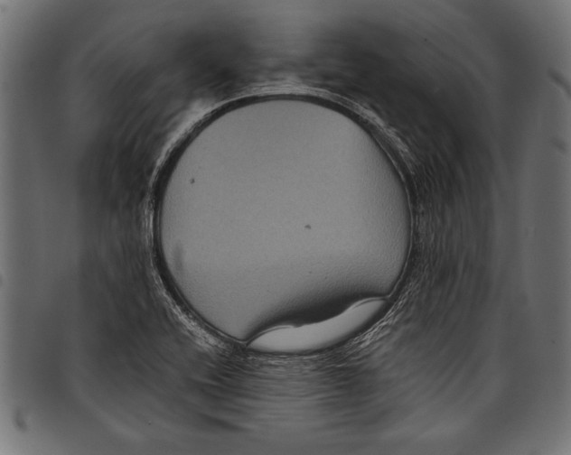 X0000097661416200803280941