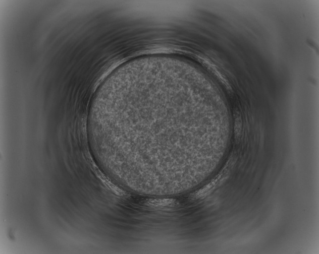 X0000097661417200803280941