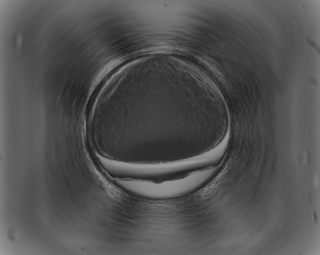 X0000097661418200803280941