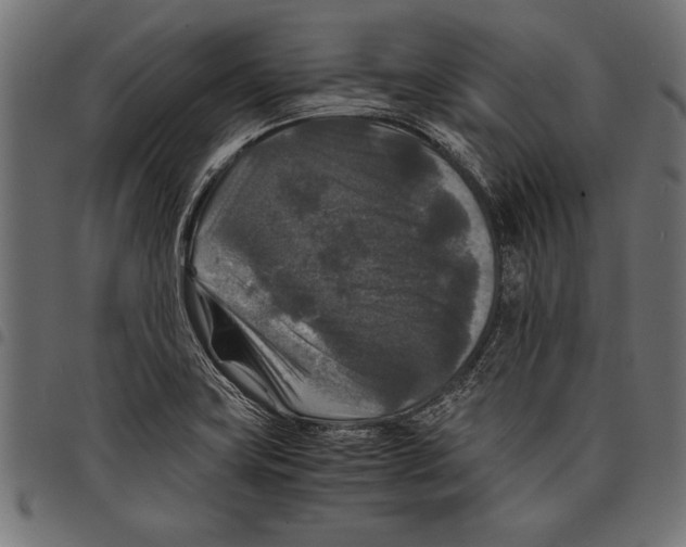 X0000097661419200803280941