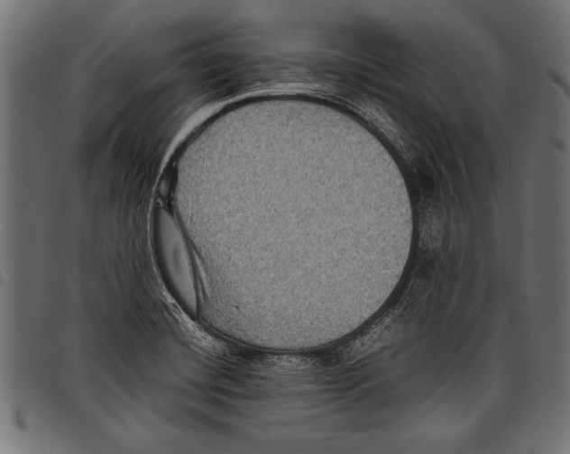 X0000097661420200803280941