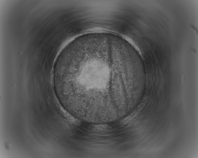 X0000097661421200803280941