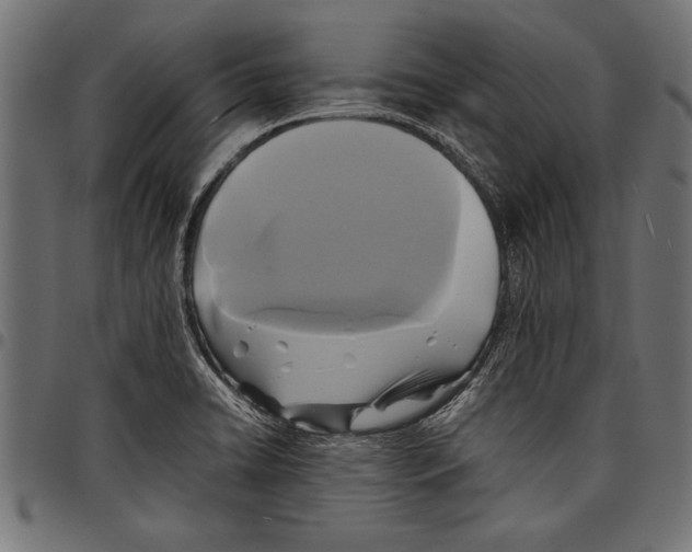 X0000097661422200803280941