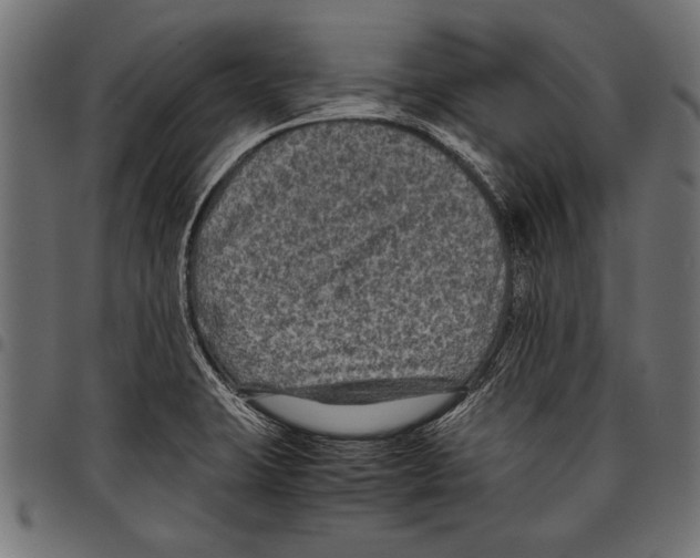 X0000097661423200803280941