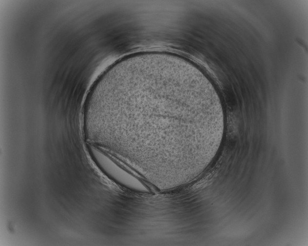 X0000097661424200803280941