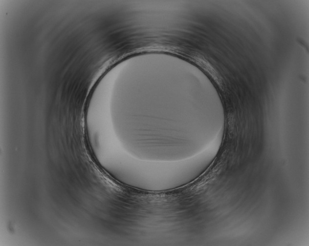 X0000097661428200803280941