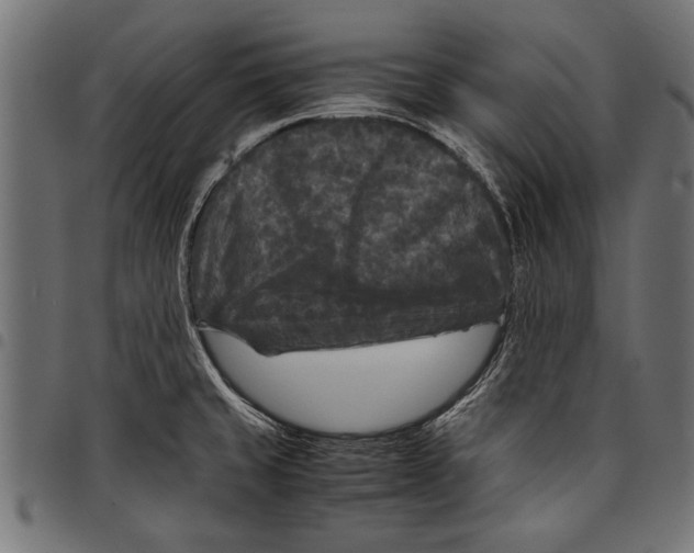 X0000097661429200803280941