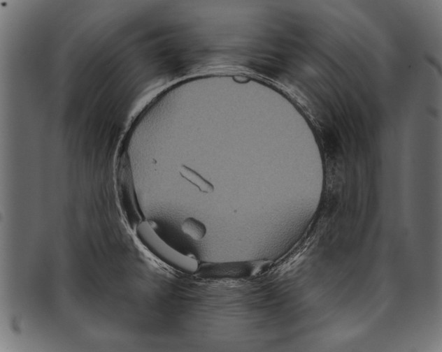 X0000097661430200803280941