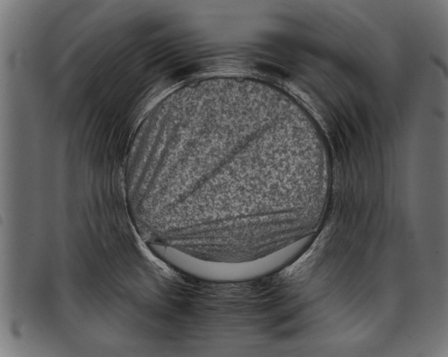 X0000097661433200803280941