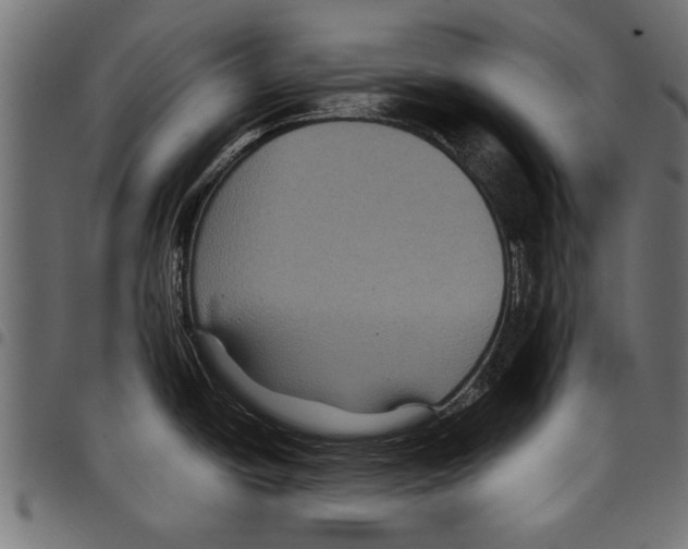 X0000097661438200803280941