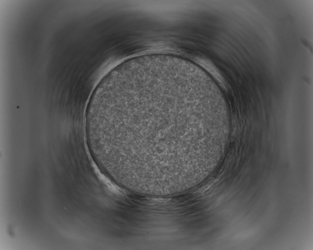 X0000097661439200803280941