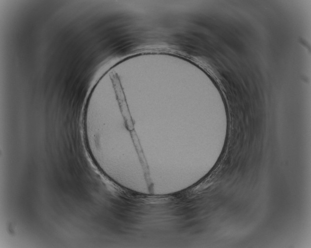 X0000097661440200803280941