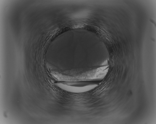 X0000097661441200803280941