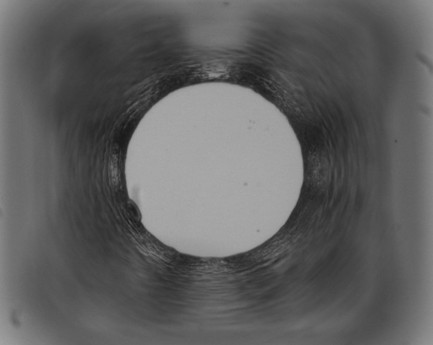 X0000097661442200803280941